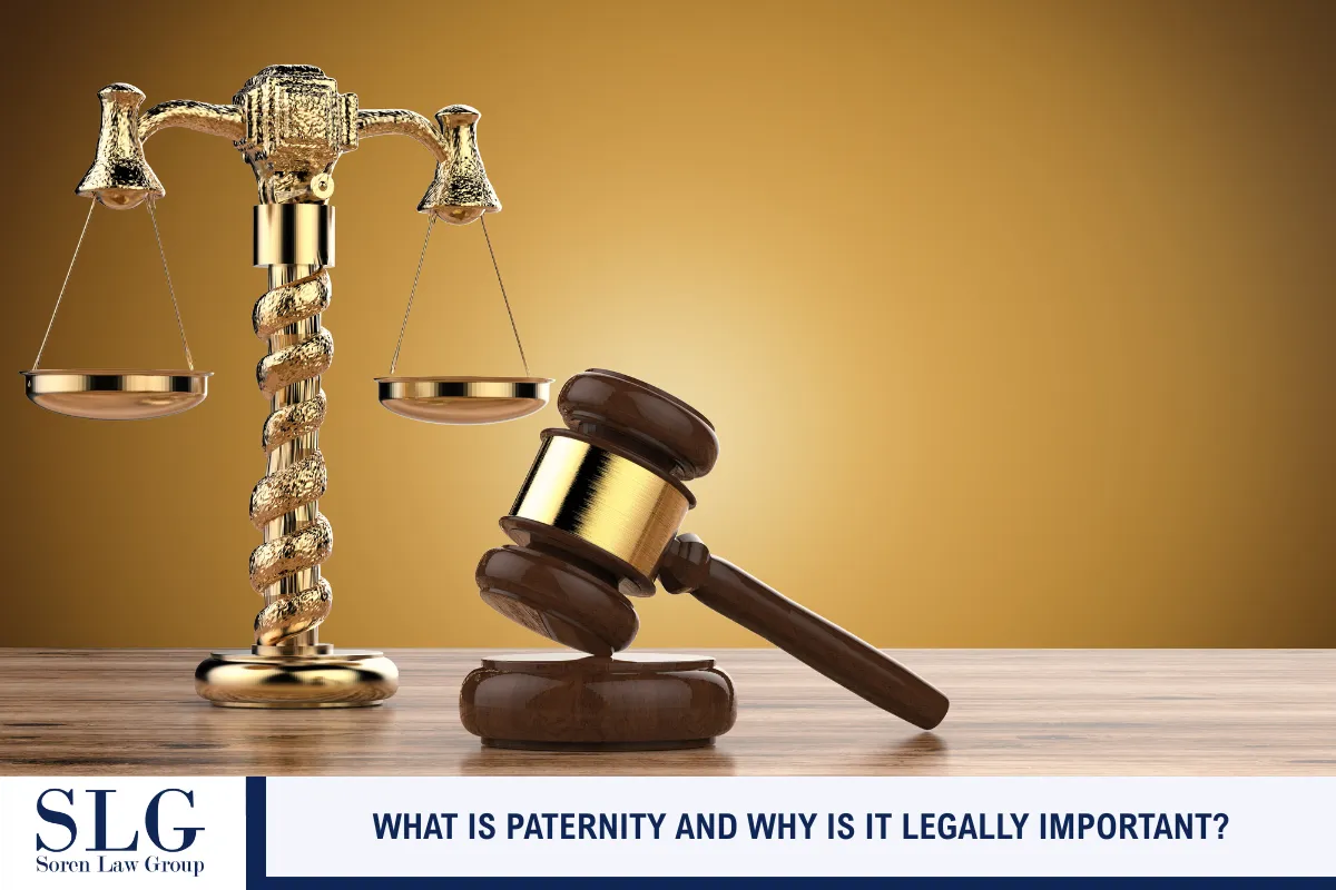 What Is Paternity and Why Is It Legally Important?