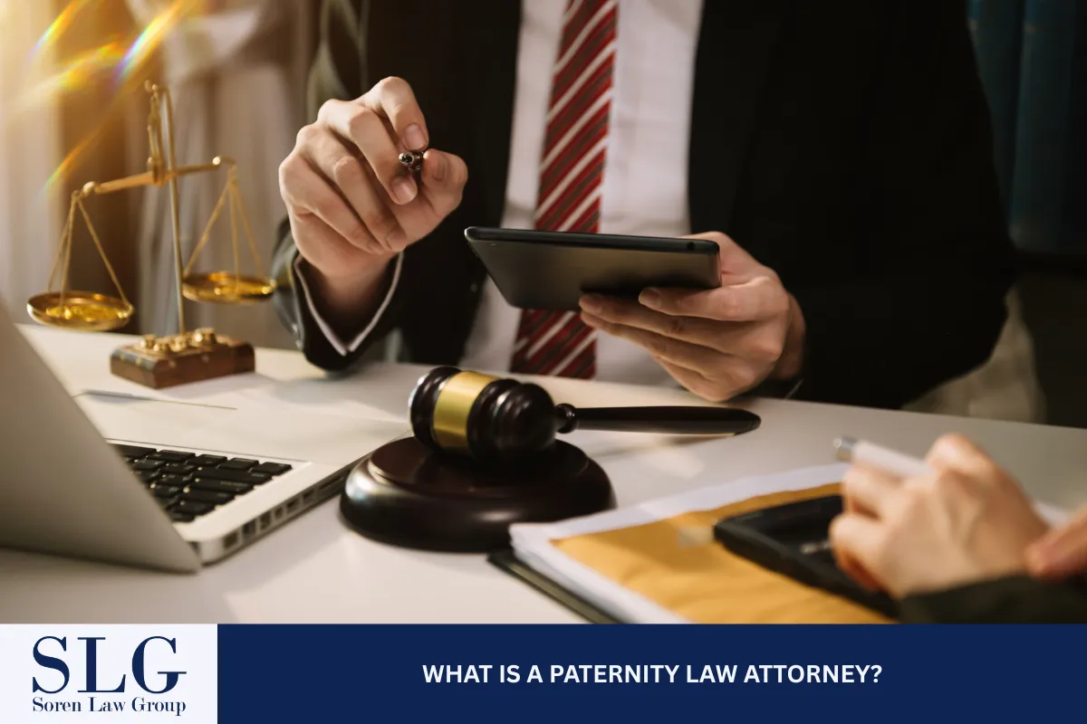 What is a Paternity Law Attorney?