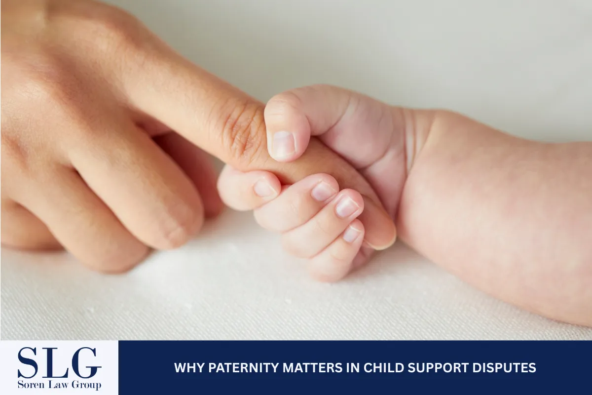 Why Paternity Matters in Child Support Disputes