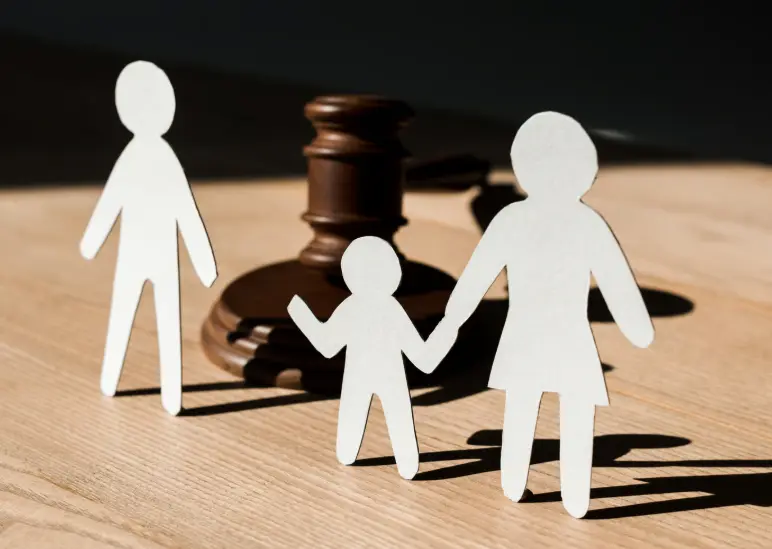 Child Custody Lawyer