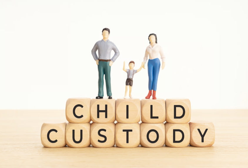 Child Custody and Relocation Cases