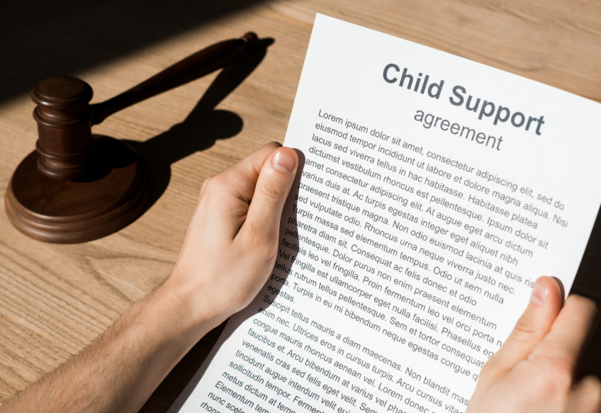 Child Support Lawyer