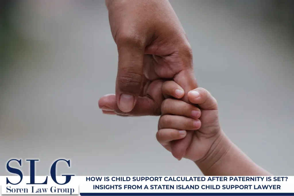 How Is Child Support Calculated After Paternity Is Set? Insights From a Staten Island Child Support Lawyer